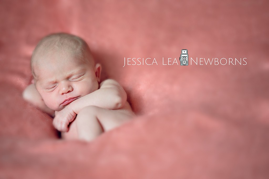 Jacksonville Newborn Photographer Newborn Pictures
